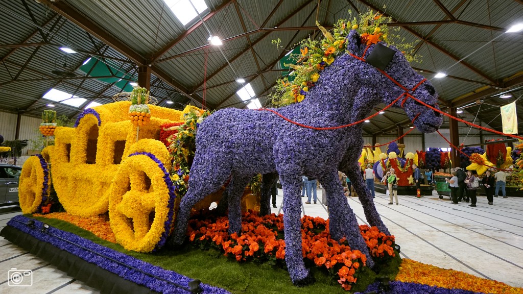 One of the flower parade 2015 - Koninklijke Musea                                                                  credit  :  gemeente Leiden